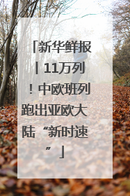 新华鲜报丨11万列！中欧班列跑出亚欧大陆“新时速”