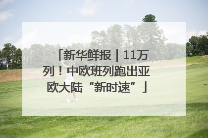 新华鲜报｜11万列！中欧班列跑出亚欧大陆“新时速”