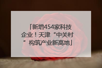 新增454家科技企业！天津“中关村”构筑产业新高地