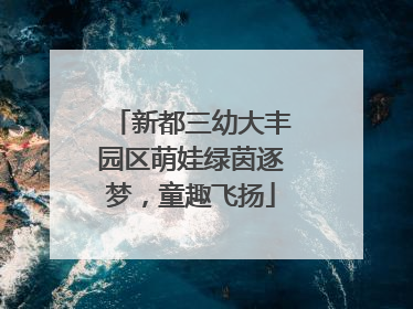 新都三幼大丰园区萌娃绿茵逐梦，童趣飞扬