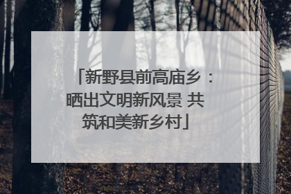 新野县前高庙乡：晒出文明新风景 共筑和美新乡村