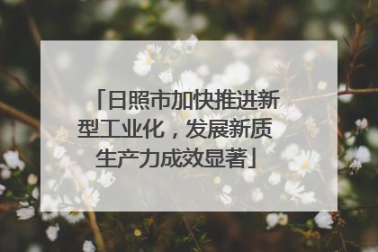 日照市加快推进新型工业化，发展新质生产力成效显著