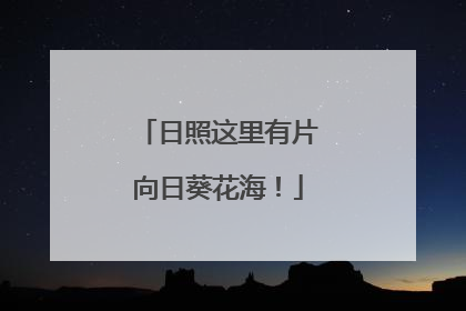 日照这里有片向日葵花海！