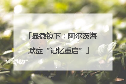 显微镜下：阿尔茨海默症“记忆重启”