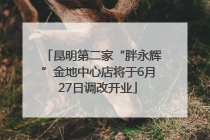 昆明第二家“胖永辉”金地中心店将于6月27日调改开业