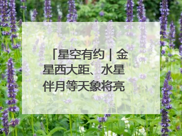 星空有约｜金星西大距、水星伴月等天象将亮相6月天宇
