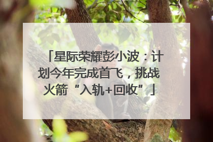 星际荣耀彭小波：计划今年完成首飞，挑战火箭“入轨+回收”