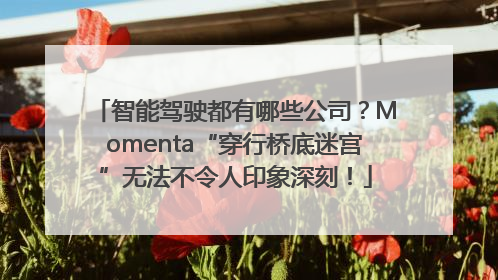 智能驾驶都有哪些公司？Momenta“穿行桥底迷宫”无法不令人印象深刻！
