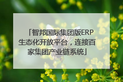 智邦国际集团版ERP生态化开放平台，连接百家集团产业链系统