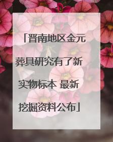 晋南地区金元葬具研究有了新实物标本 最新挖掘资料公布