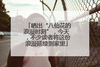 晒出“八仙花的浪漫时刻”，今天，不少读者将这份浪漫延续到家里