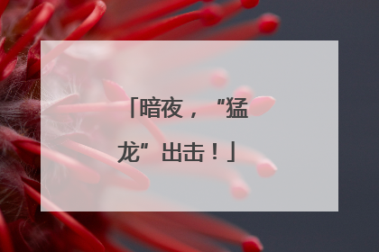 暗夜，“猛龙”出击！