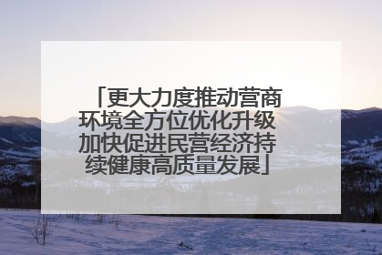 更大力度推动营商环境全方位优化升级加快促进民营经济持续健康高质量发展