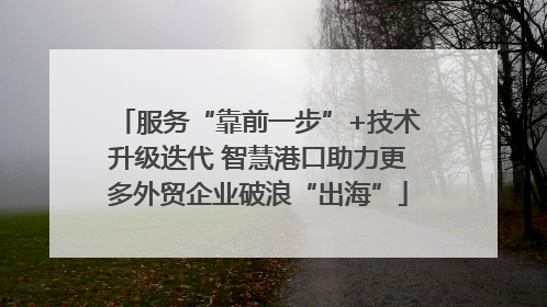 服务“靠前一步”+技术升级迭代 智慧港口助力更多外贸企业破浪“出海”