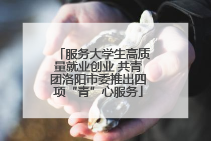 服务大学生高质量就业创业 共青团洛阳市委推出四项“青”心服务