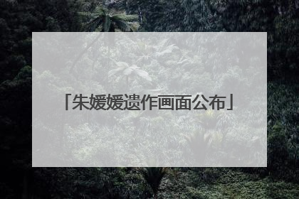 朱媛媛遗作画面公布