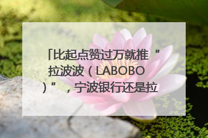 比起点赞过万就推“拉波波（LABOBO）”，宁波银行还是拉业绩吧｜财经辣评