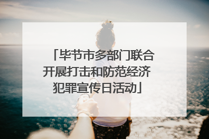 毕节市多部门联合开展打击和防范经济犯罪宣传日活动