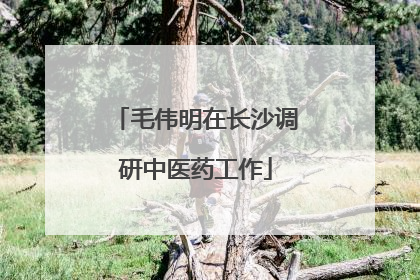 毛伟明在长沙调研中医药工作