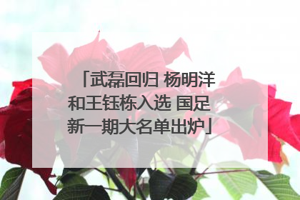 武磊回归 杨明洋和王钰栋入选 国足新一期大名单出炉