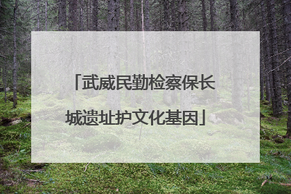 武威民勤检察保长城遗址护文化基因