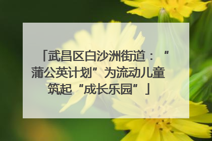 武昌区白沙洲街道：“蒲公英计划”为流动儿童筑起“成长乐园”