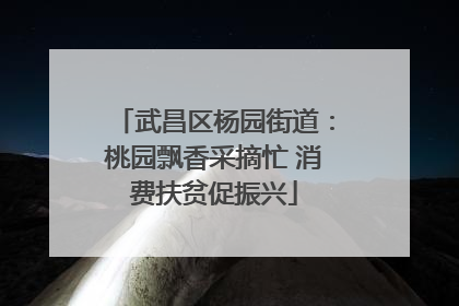 武昌区杨园街道：桃园飘香采摘忙 消费扶贫促振兴