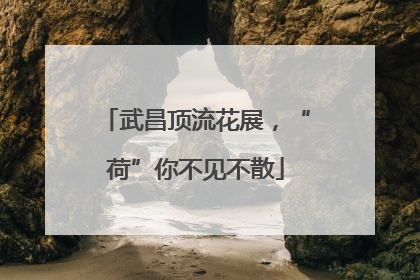 武昌顶流花展，“荷”你不见不散