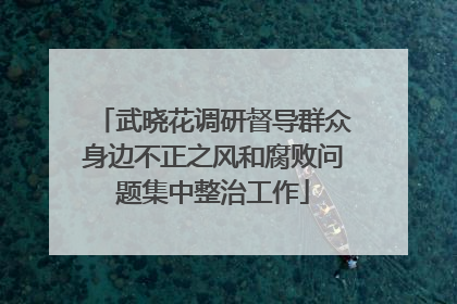 武晓花调研督导群众身边不正之风和腐败问题集中整治工作