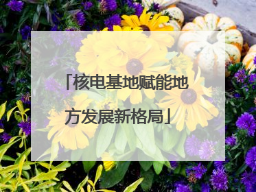 核电基地赋能地方发展新格局