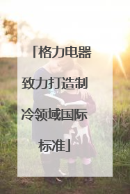 格力电器致力打造制冷领域国际标准