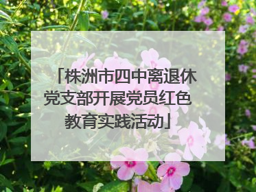 株洲市四中离退休党支部开展党员红色教育实践活动