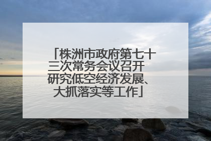 株洲市政府第七十三次常务会议召开 研究低空经济发展、大抓落实等工作