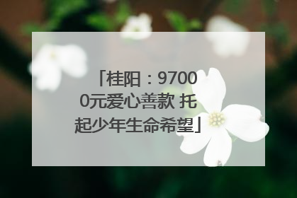 桂阳：97000元爱心善款 托起少年生命希望