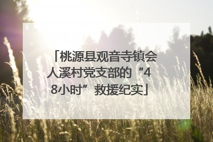桃源县观音寺镇会人溪村党支部的“48小时”救援纪实