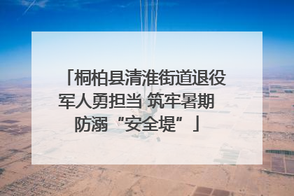 桐柏县清淮街道退役军人勇担当 筑牢暑期防溺“安全堤”