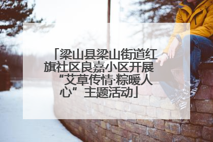 梁山县梁山街道红旗社区良嘉小区开展“艾草传情·粽暖人心”主题活动