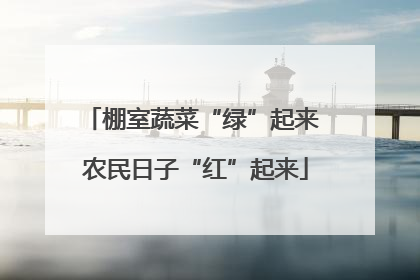 棚室蔬菜“绿”起来 农民日子“红”起来