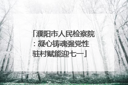 濮阳市人民检察院：凝心铸魂强党性 驻村赋能迎七一
