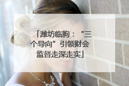 潍坊临朐：“三个导向”引领财会监督走深走实