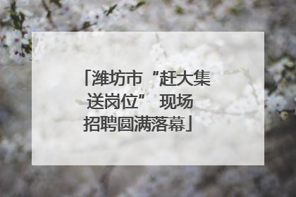潍坊市“赶大集 送岗位” 现场招聘圆满落幕