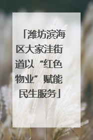 潍坊滨海区大家洼街道以“红色物业”赋能民生服务