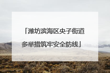 潍坊滨海区央子街道多举措筑牢安全防线