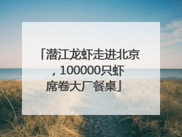 潜江龙虾走进北京，100000只虾席卷大厂餐桌