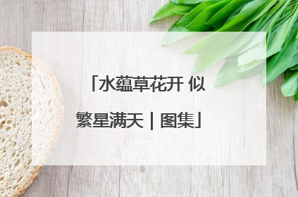 水蕴草花开 似繁星满天｜图集