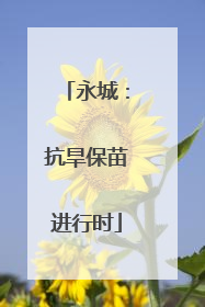 永城：抗旱保苗进行时