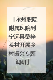 永州职院附属医院到宁远县桑梓头村开展乡村振兴专题调研