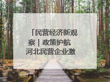 民营经济新观察｜政策护航 河北民营企业激发新“冀”遇