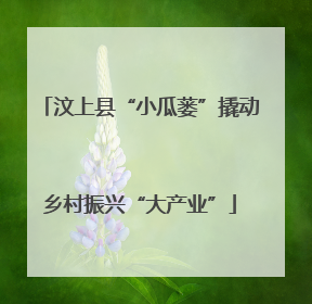 汶上县“小瓜蒌”撬动乡村振兴“大产业”