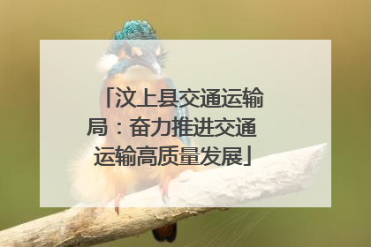 汶上县交通运输局：奋力推进交通运输高质量发展